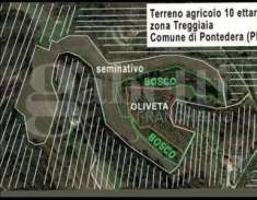 Foto Terreno Agricolo in Vendita, 100000 mq (Pontedera)
