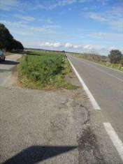 Foto Terreno Agricolo in Vendita, 10700 mq, Guagnano