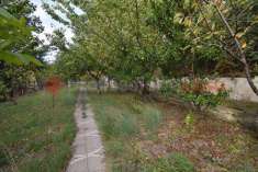 Foto Terreno Agricolo in Vendita, 1100 mq (Siano)