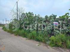 Foto Terreno Agricolo in Vendita, 11000 mq (Taviano)