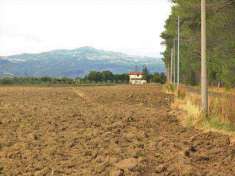 Foto Terreno agricolo in Vendita, 1100000 mq (GROSSETO BRACCAGNI)