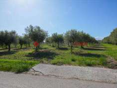 Foto Terreno Agricolo in Vendita, 11360 mq (Altavilla Silentina)