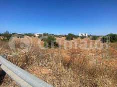 Foto Terreno Agricolo in Vendita, 11637 mq (Gallipoli)