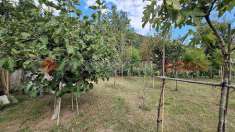 Foto Terreno Agricolo in Vendita, 1200 mq (Castel San Giorgio)