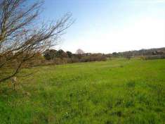 Foto Terreno agricolo in Vendita, 1240 mq (MONTEFIASCONE)