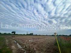 Foto Terreno agricolo in Vendita, 12500 mq (CASIER)
