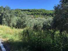 Foto Terreno agricolo in Vendita, 1278 mq (CASERTA MEZZANO)