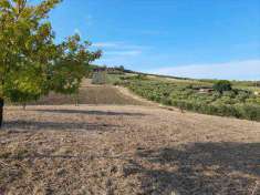 Foto Terreno agricolo in Vendita, 1300 mq (VASTO SANT'ANTONIO)