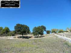 Foto Terreno agricolo in Vendita, 13000 mq (CISTERNINO CASALINI)