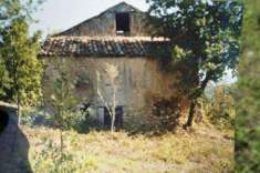 Foto Terreno agricolo in Vendita, 13000 mq (DIPIGNANO BASSO)