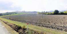 Foto Terreno agricolo in Vendita, 130000 mq (BERTINORO FRATTA TERME)