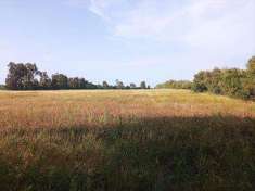 Foto Terreno agricolo in Vendita, 130000 mq (VETRALLA CINELLI)