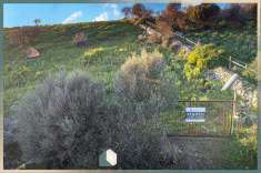 Foto Terreno Agricolo in Vendita, 13155 mq, Civitavecchia