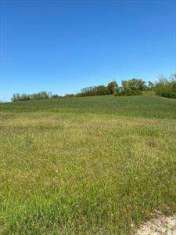 Foto Terreno agricolo in Vendita, 13320 mq (CEPRANO)