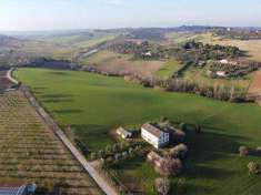 Foto Terreno Agricolo in Vendita, 136025 mq, Jesi (Tabano)