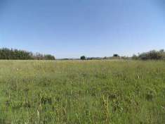 Foto Terreno agricolo in Vendita, 14980 mq (CECINA)