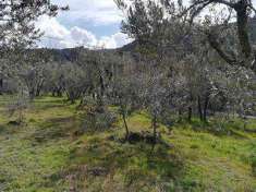 Foto Terreno agricolo in Vendita, 1500 mq (TERNI PAPIGNO)