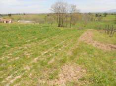 Foto Terreno agricolo in Vendita, 15000 mq (TUSCANIA)