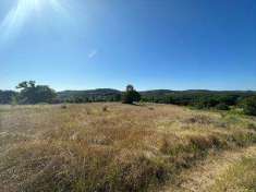 Foto Terreno Agricolo in Vendita, 150000 mq (Orte)