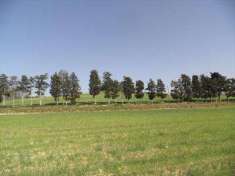 Foto Terreno agricolo in Vendita, 150090 mq (ROSIGNANO MARITTIMO ROSI