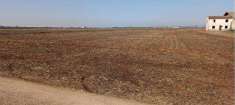 Foto Terreno Agricolo in Vendita, 15130 mq, Roverbella