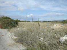 Foto Terreno agricolo in Vendita, 15173 mq (CRISPIANO)