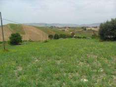 Foto Terreno agricolo in Vendita, 15195 mq (SAN CATALDO C.SO V. EMANU