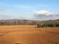 Foto Terreno agricolo in Vendita, 152623 mq (CAMPAGNATICO ARCILLE)