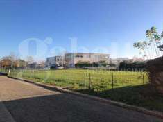 Foto Terreno Agricolo in Vendita, 1568 mq (Solarolo)