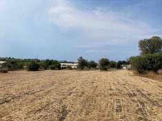 Foto Terreno agricolo in Vendita, 15700 mq (PACHINO)