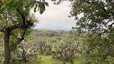 Foto Terreno agricolo in Vendita, 16000 mq (MILITELLO IN VAL DI CATAN