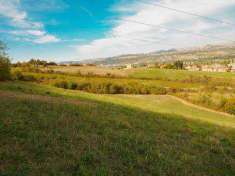 Foto Terreno agricolo in Vendita, 16000 mq (SASSUOLO MONTEGIBBIO)