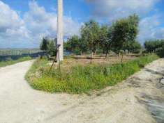 Foto Terreno agricolo in Vendita, 16000 mq (SCIACCA)