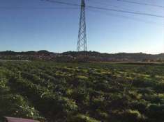 Foto Terreno agricolo in Vendita, 16500 mq (LICATA COMUNI CAMERA)