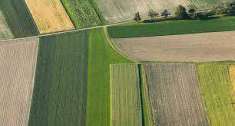 Foto Terreno agricolo in Vendita, 1800 mq (CHIOGGIA CA LINO)