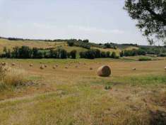 Foto Terreno agricolo in Vendita, 18000 mq (SIENA CERCHIAIA)