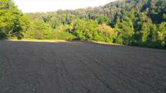 Foto Terreno agricolo in Vendita, 18000 mq (TUSCANIA)