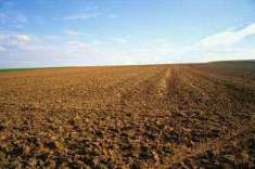 Foto Terreno agricolo in Vendita, 19000 mq (VETRALLA DOGANE)