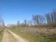 Foto Terreno Agricolo in Vendita, 19697 mq (Cergnago)