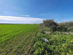 Foto Terreno agricolo in Vendita, 2 Locali, 2 Camere, 103096 mq (RAMA
