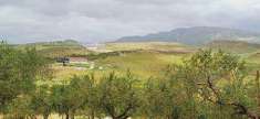Foto Terreno agricolo in Vendita, 2 Locali, 42375 mq (SCIACCA)