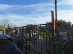 Foto Terreno Agricolo in Vendita, 2000 mq (Grosseto)