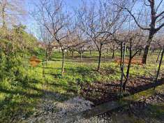 Foto Terreno Agricolo in Vendita, 2000 mq (Mercato San Severino)