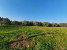 Foto Terreno agricolo in Vendita, 20000 mq (EBOLI)