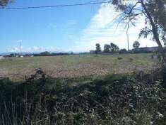 Foto Terreno agricolo in Vendita, 20000 mq (LATINA ISONZO)