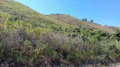 Foto Terreno agricolo in Vendita, 20000 mq (MESSINA SPERONE)