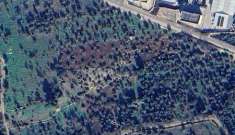 Foto Terreno Agricolo in Vendita, 20000 mq (Modugno)