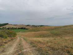 Foto Terreno agricolo in Vendita, 205000 mq (MURLO VESCOVADO DI MURLO