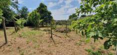 Foto Terreno agricolo in Vendita, 2100 mq (ZAGAROLO)