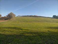 Foto Terreno agricolo in Vendita, 21000 mq (CORROPOLI)
